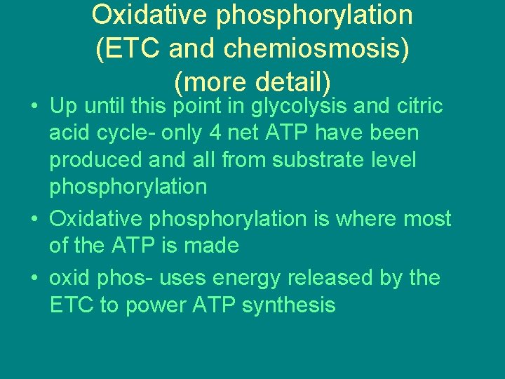 Oxidative phosphorylation (ETC and chemiosmosis) (more detail) • Up until this point in glycolysis Oxidative phosphorylation (ETC and chemiosmosis) (more detail) • Up until this point in glycolysis
