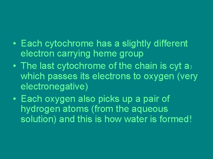 • Each cytochrome has a slightly different electron carrying heme group • The • Each cytochrome has a slightly different electron carrying heme group • The