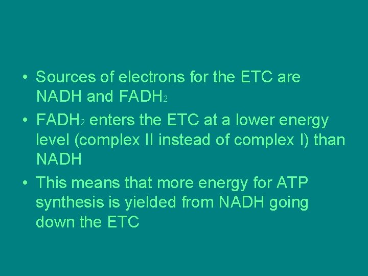• Sources of electrons for the ETC are NADH and FADH 2 • • Sources of electrons for the ETC are NADH and FADH 2 •