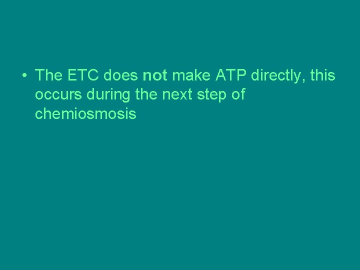 • The ETC does not make ATP directly, this occurs during the next • The ETC does not make ATP directly, this occurs during the next