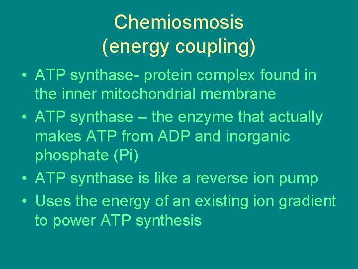 Chemiosmosis (energy coupling) • ATP synthase- protein complex found in the inner mitochondrial membrane Chemiosmosis (energy coupling) • ATP synthase- protein complex found in the inner mitochondrial membrane