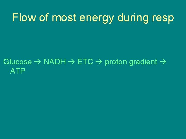 Flow of most energy during resp Glucose NADH ETC proton gradient ATP Flow of most energy during resp Glucose NADH ETC proton gradient ATP