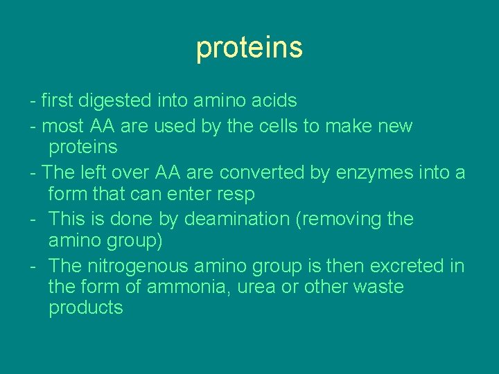 proteins - first digested into amino acids - most AA are used by the proteins - first digested into amino acids - most AA are used by the