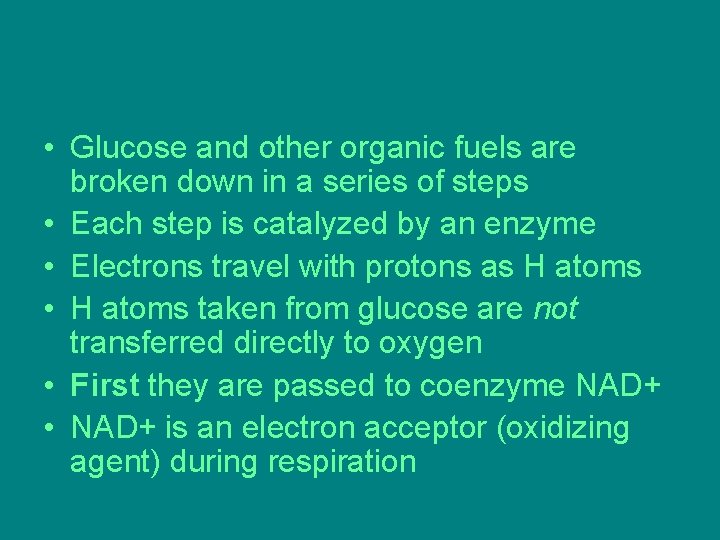 • Glucose and other organic fuels are broken down in a series of • Glucose and other organic fuels are broken down in a series of