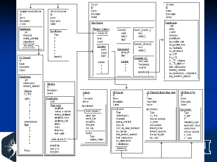 Brain Model Database Design 