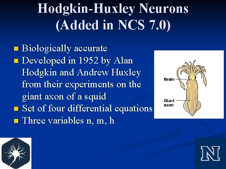 Hodgkin-Huxley Neurons (Added in NCS 7. 0) Biologically accurate n Developed in 1952 by