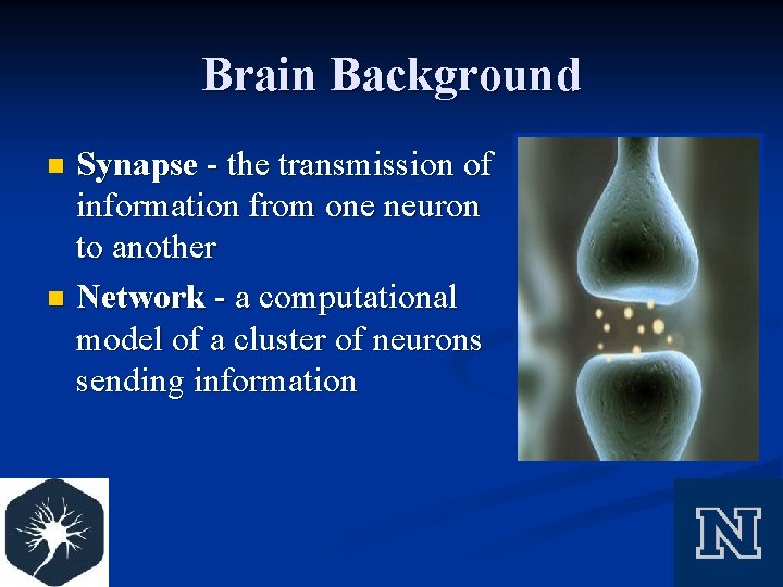 Brain Background Synapse - the transmission of information from one neuron to another n