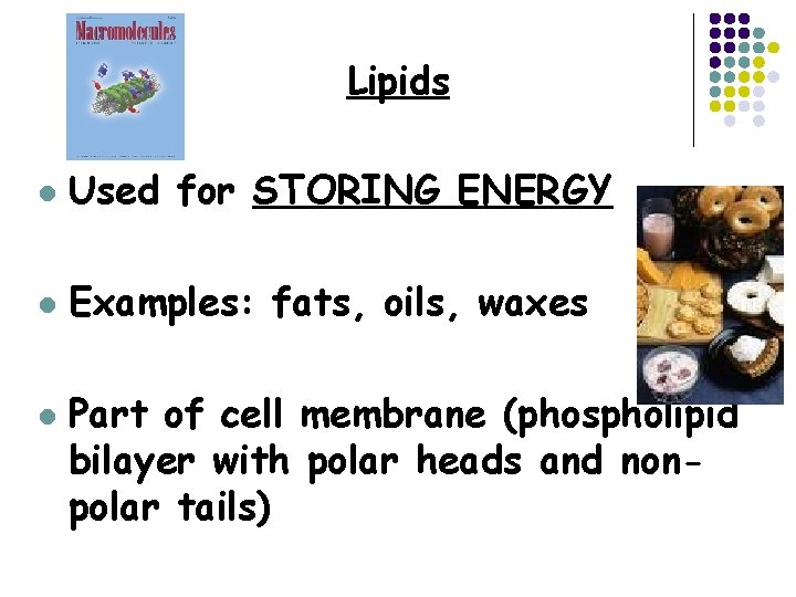 Lipids l Used for STORING ENERGY l Examples: fats, oils, waxes l Part of