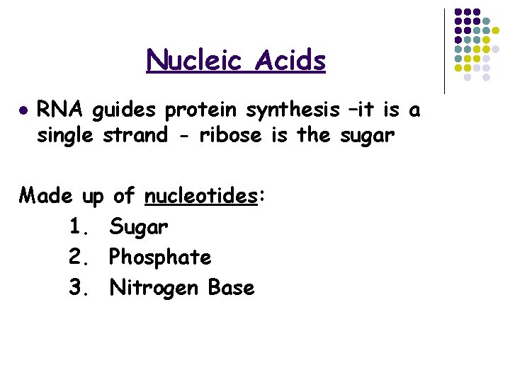 Nucleic Acids l RNA guides protein synthesis –it is a single strand - ribose