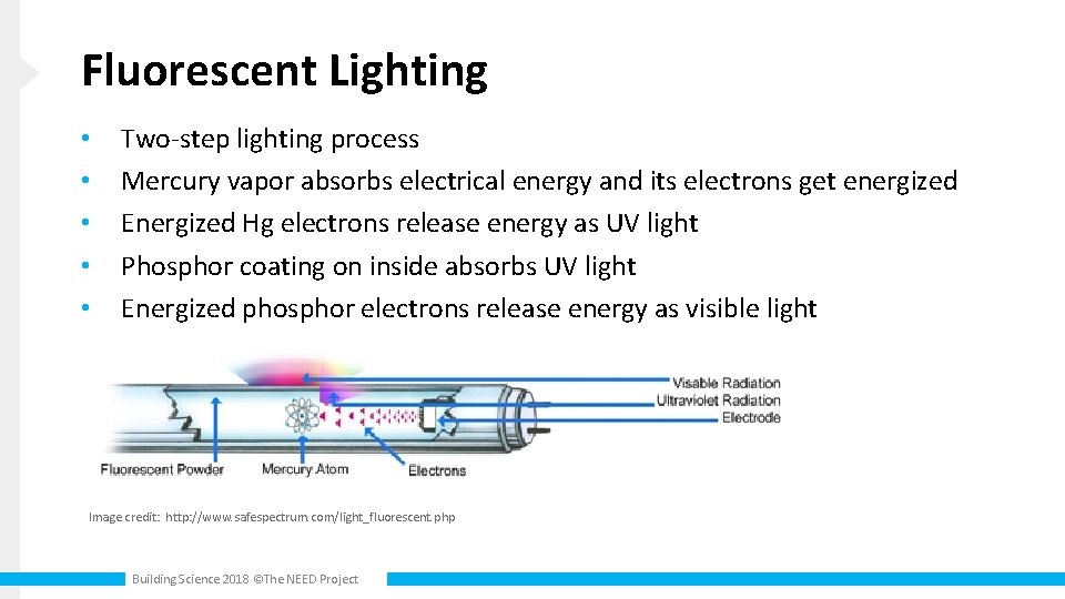 Fluorescent Lighting • • • Two-step lighting process Mercury vapor absorbs electrical energy and