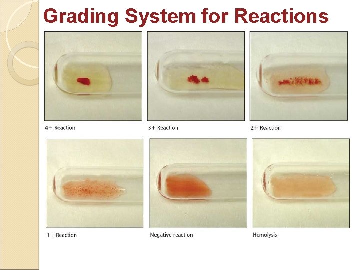 Grading System for Reactions Grading System for Reactions