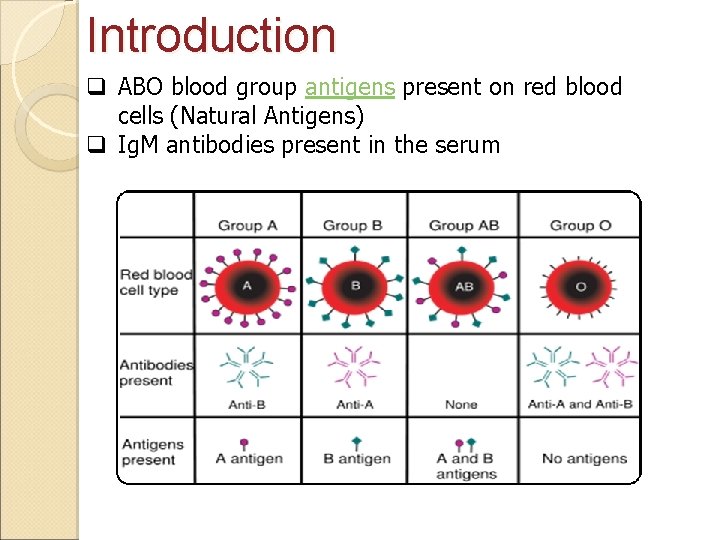 Introduction q ABO blood group antigens present on red blood cells (Natural Antigens) q Introduction q ABO blood group antigens present on red blood cells (Natural Antigens) q