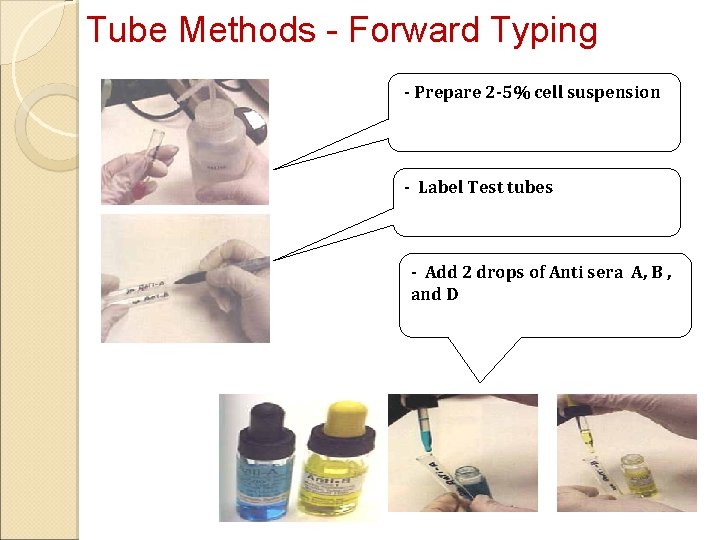 Tube Methods - Forward Typing - Prepare 2 -5% cell suspension - Label Test