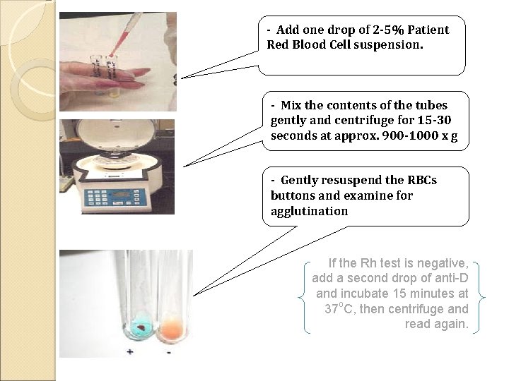 - Add one drop of 2 -5% Patient Red Blood Cell suspension. - Mix