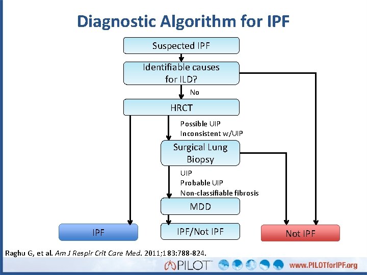 Diagnostic Algorithm for IPF Suspected IPF Identifiable causes for ILD? No HRCT Possible UIP