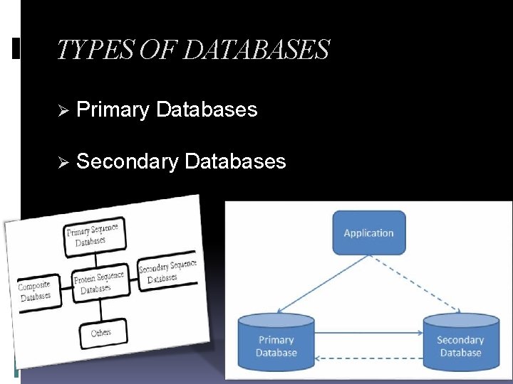 TYPES OF DATABASES Primary Databases Secondary Databases 