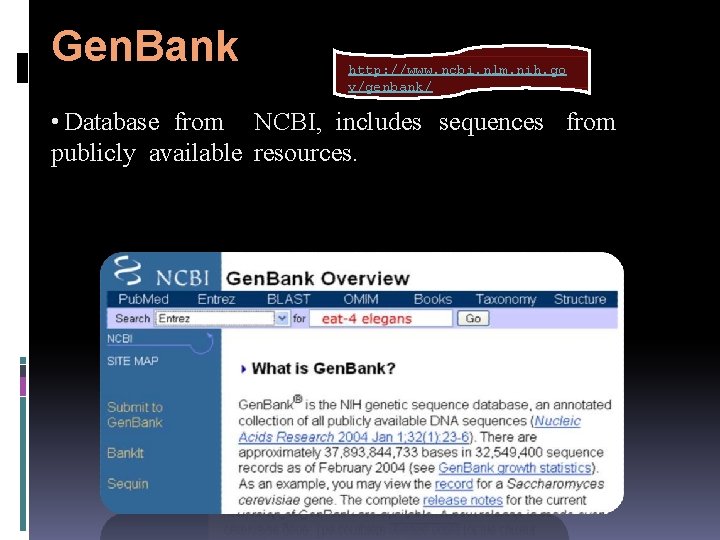 Gen. Bank http: //www. ncbi. nlm. nih. go v/genbank/ • Database from NCBI, includes