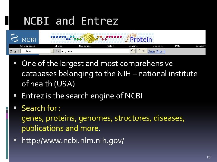 NCBI and Entrez One of the largest and most comprehensive databases belonging to the