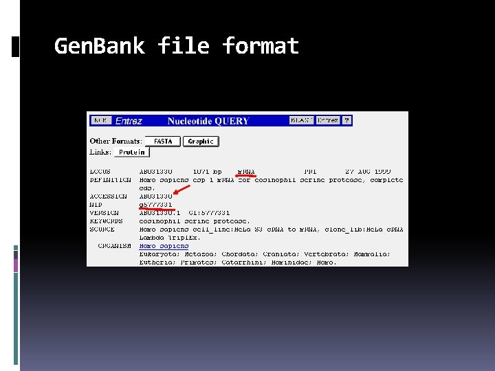 Gen. Bank file format 