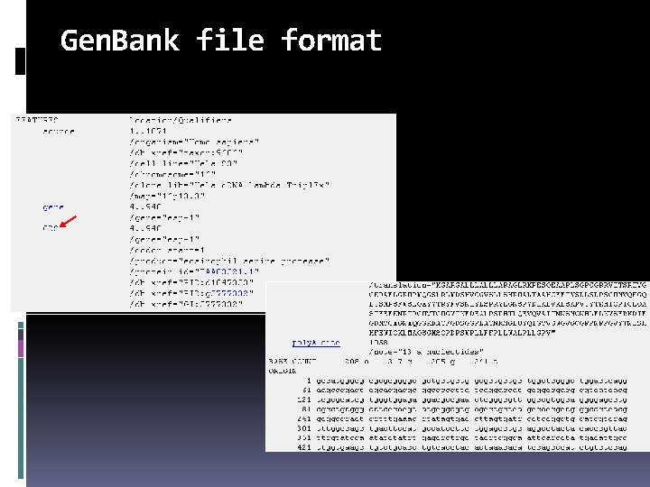Gen. Bank file format 