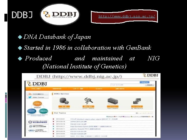 DDBJ DNA http: //www. ddbj. nig. ac. jp/ Databank of Japan Started in 1986