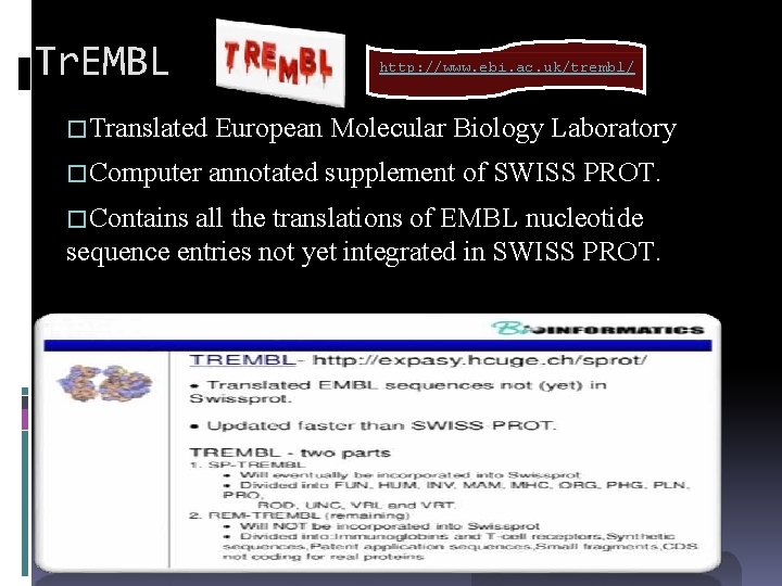 Tr. EMBL http: //www. ebi. ac. uk/trembl/ �Translated European Molecular Biology Laboratory �Computer annotated