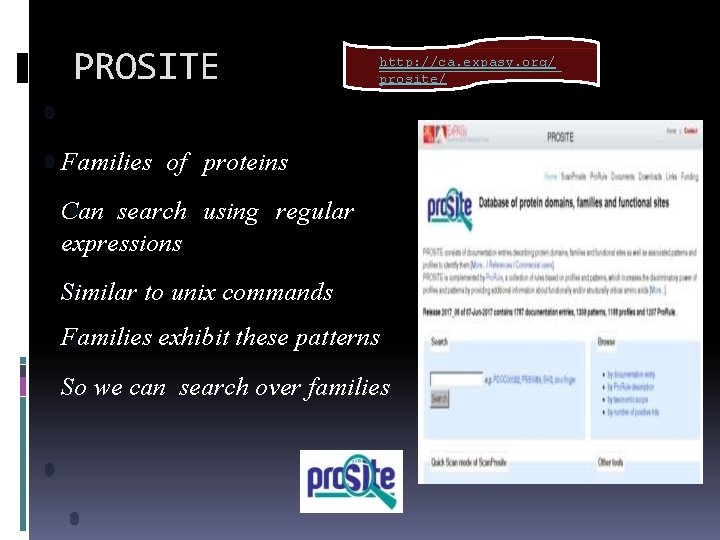 PROSITE http: //ca. expasy. org/ prosite/ Families of proteins Can search using regular expressions