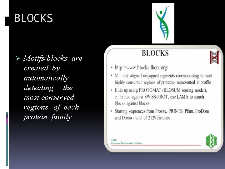 BLOCKS Motifs/blocks are created by automatically detecting the most conserved regions of each protein