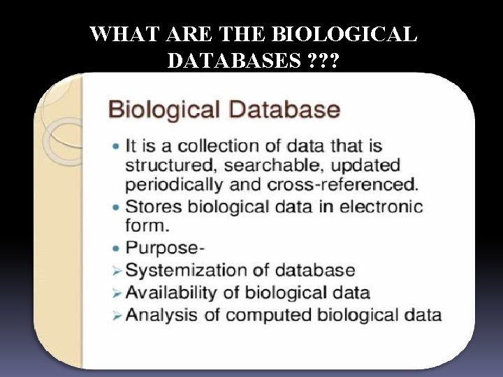 WHAT ARE THE BIOLOGICAL DATABASES ? ? ? 