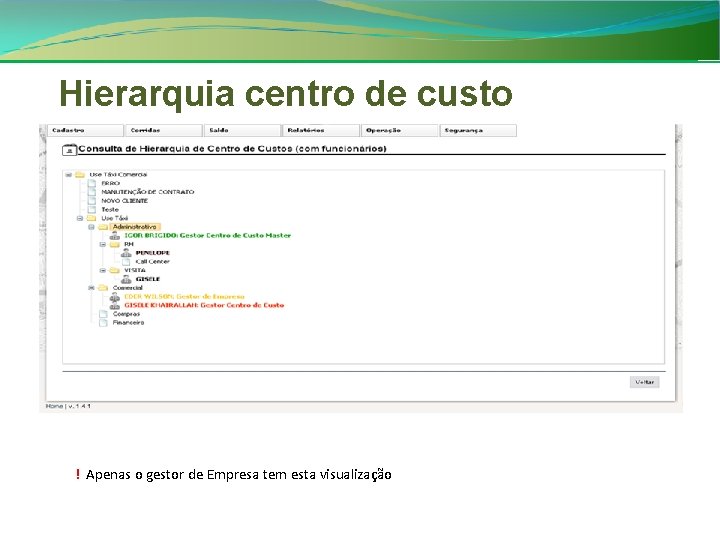 Hierarquia centro de custo ! Apenas o gestor de Empresa tem esta visualização 