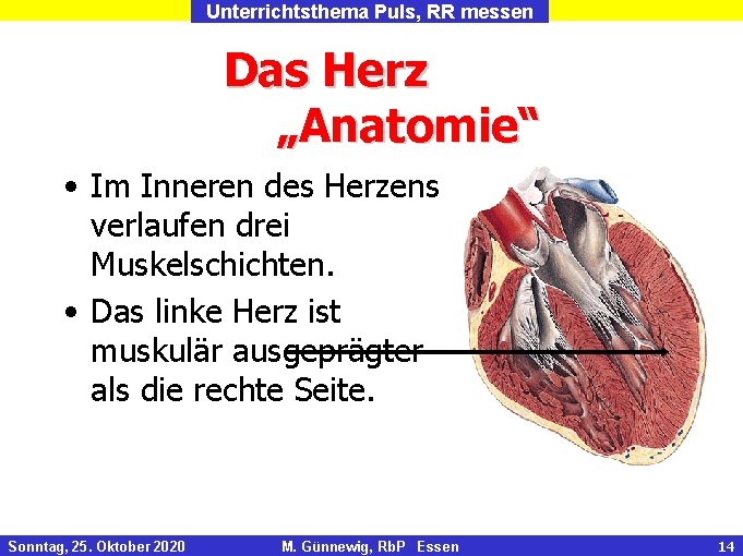 Unterrichtsthema Puls, RR messen Das Herz „Anatomie“ • Im Inneren des Herzens verlaufen drei