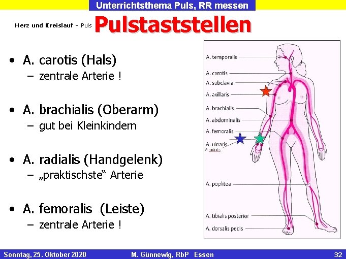 Unterrichtsthema Puls, RR messen Herz und Kreislauf – Pulstaststellen • A. carotis (Hals) –