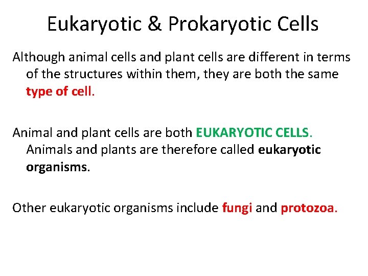 Eukaryotic & Prokaryotic Cells Although animal cells and plant cells are different in terms