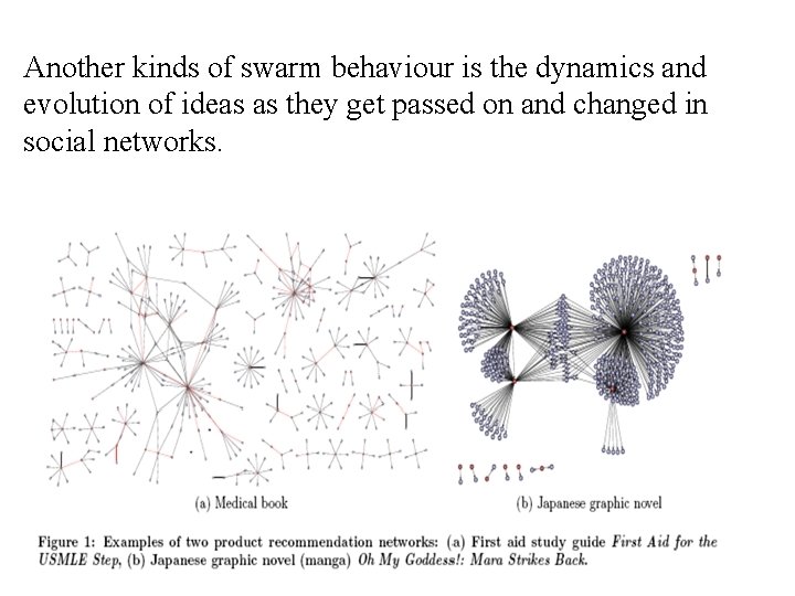 Another kinds of swarm behaviour is the dynamics and evolution of ideas as they