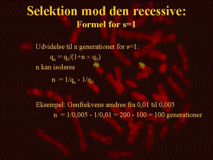 Selektion mod den recessive: Formel for s=1 Udvidelse til n generationer for s=1: qn
