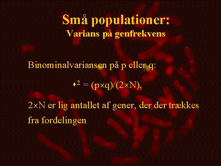 Små populationer: Varians på genfrekvens Binominalvariansen på p eller q: s 2 = (p