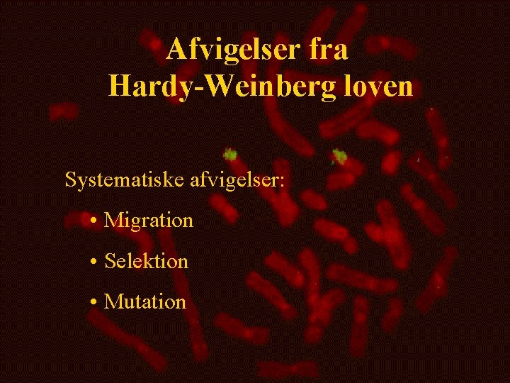 Afvigelser fra Hardy-Weinberg loven Systematiske afvigelser: • Migration • Selektion • Mutation 