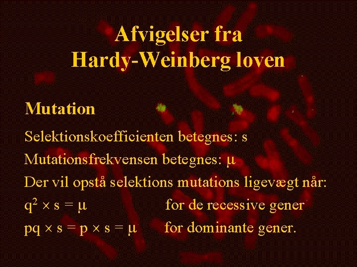 Afvigelser fra Hardy-Weinberg loven Mutation Selektionskoefficienten betegnes: s Mutationsfrekvensen betegnes: m Der vil opstå