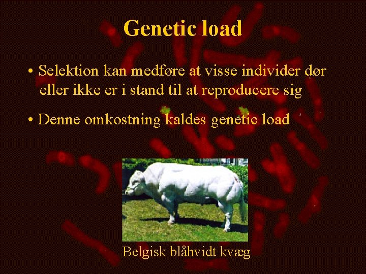 Genetic load • Selektion kan medføre at visse individer dør eller ikke er i