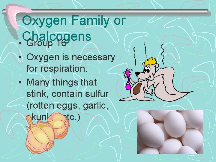 Oxygen Family or Chalcogens • Group 16 • Oxygen is necessary for respiration. •