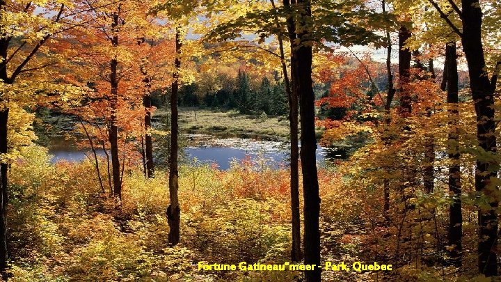 “Fortune Gatineau“meer - Park, Quebec 