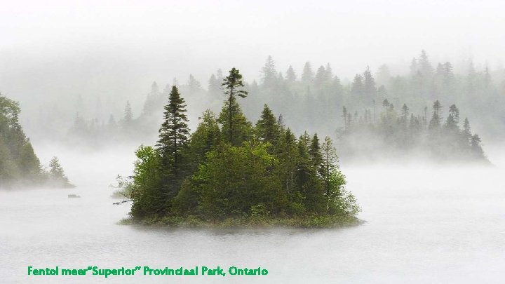 Fentol meer“Superior” Provinciaal Park, Ontario 