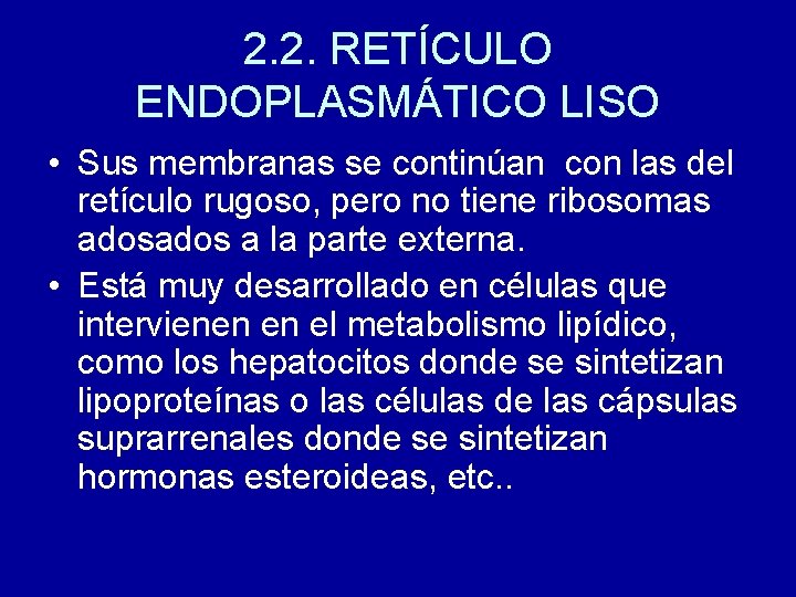 2. 2. RETÍCULO ENDOPLASMÁTICO LISO • Sus membranas se continúan con las del retículo