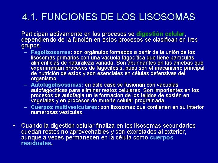 4. 1. FUNCIONES DE LOS LISOSOMAS Participan activamente en los procesos se digestión celular,