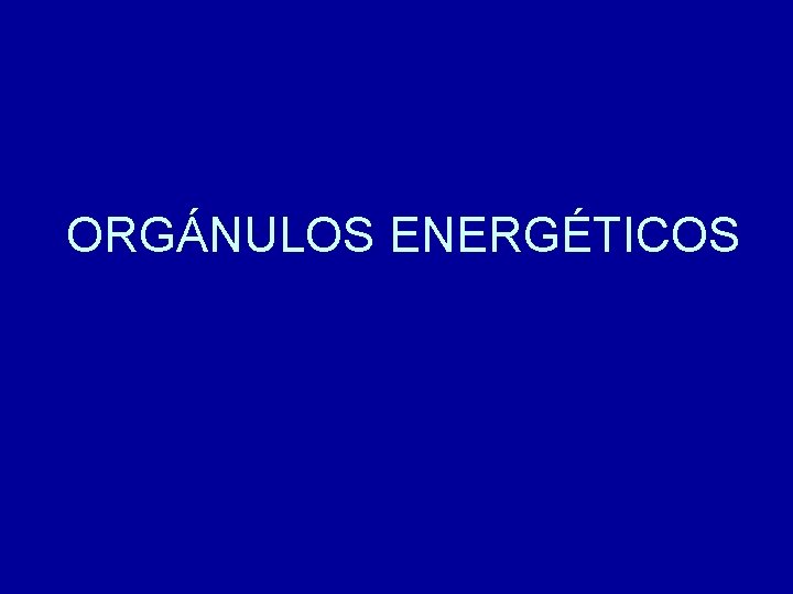 ORGÁNULOS ENERGÉTICOS 