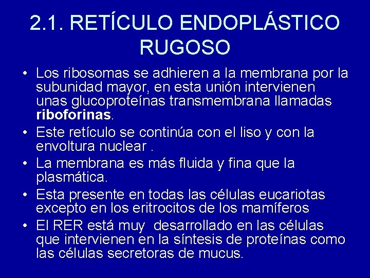 2. 1. RETÍCULO ENDOPLÁSTICO RUGOSO • Los ribosomas se adhieren a la membrana por