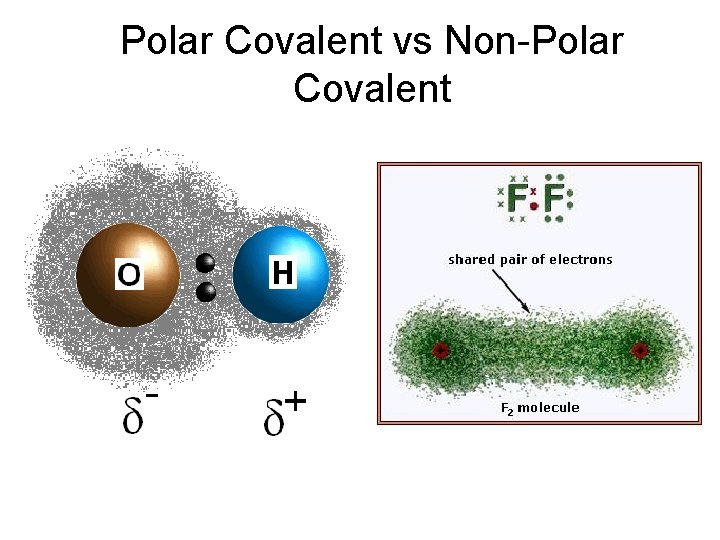 Polar Covalent vs Non-Polar Covalent 
