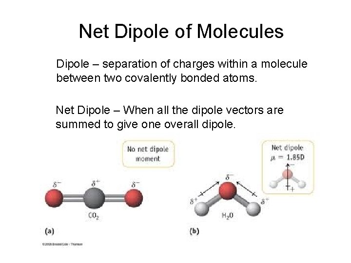 Net Dipole of Molecules Dipole – separation of charges within a molecule between two