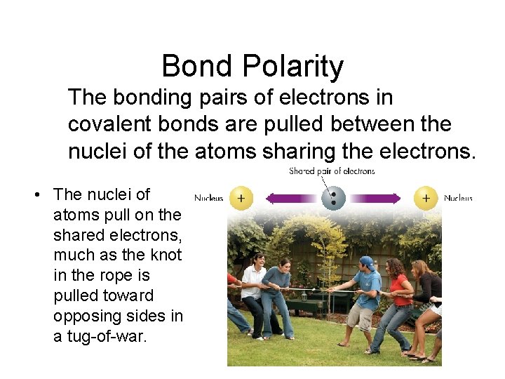 Bond Polarity The bonding pairs of electrons in covalent bonds are pulled between the