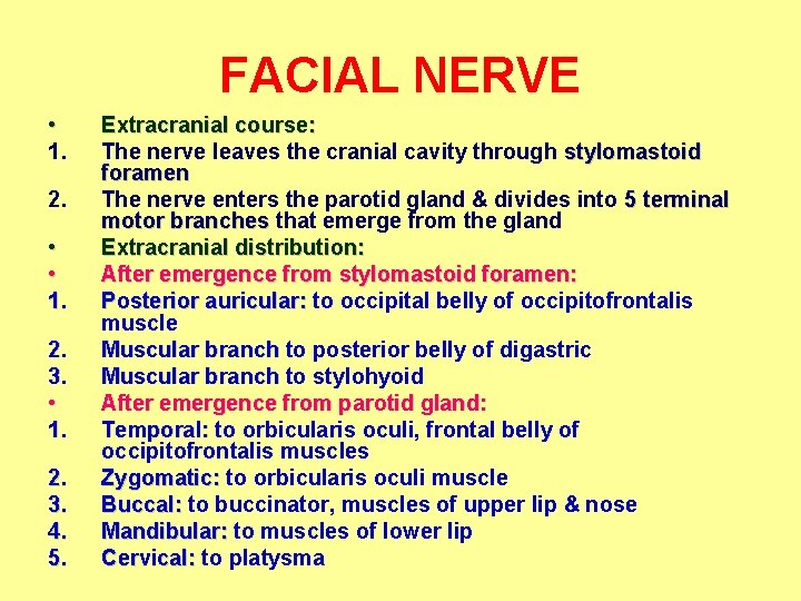 FACIAL NERVE • 1. 2. • • 1. 2. 3. 4. 5. Extracranial course: